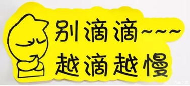 實(shí)習(xí)車上路 真的可怕嗎？解析馬路上的“隱形警報(bào)”與汽車陪駕服務(wù)